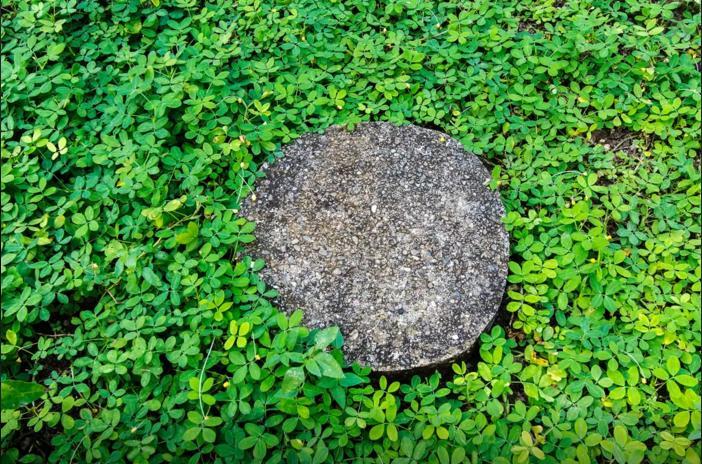 Balai Felicisima Panzió Puerto Princesa Kültér fotó
